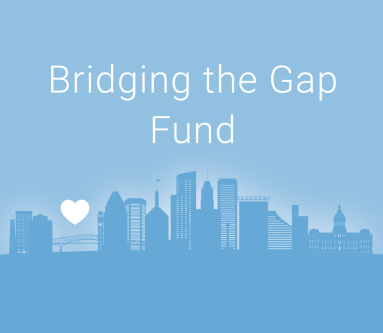 Bridging the Gap Fund 
